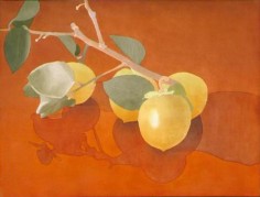 Four Persimmons on Branch