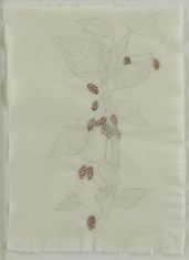 Kiki Smith Mulberry Drawing (83)