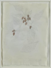 Kiki Smith Mulberry Drawing (87)
