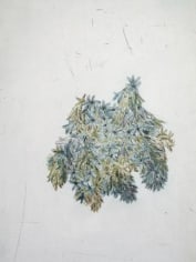 Kiki Smith Touch (hyacinth)