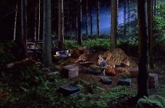 Gregory Crewdson Untitled (man in the woods)