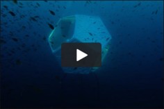 Doug Aitken, Underwater Pavilions (linear), 2016