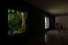 Dominique Gonzalez-Foerster, Installation view: chronotopes &amp; dioramas, Dia Art Foundation, New York, 2009