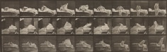 Sequence of black and white photos showing the movements of a woman getting out of bed