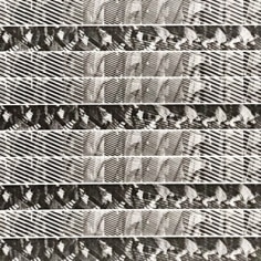 Sequence of abstracted black and white photos showing striped shadows
