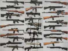 VT Digger | Debating Over A Different Sort of Gun Show