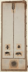 Robert Rauschenberg,&nbsp;Untitled [insects and pod], c. 1952.