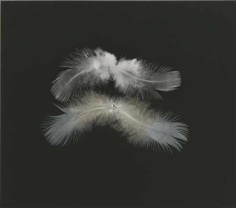 Kenneth Josephson, Feather #3, 1969. Gelatin silver photograph with feather collage on mount. c. 1974 print numbered 2 on the mount, 4 1/2 x 5 1/8 inches.