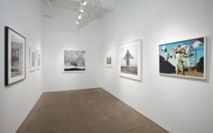 Installation view, &quot;Beautiful Vagabonds: Birds in Contemporary Photography, Sound and Video,&quot; Yancey Richardson Gallery, July 21- August 26, 2011