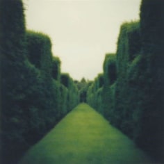 Misderden Park, England, 2000
