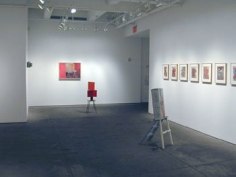 Installation view of Home exhibition, Yancey Richardson Gallery, 2008