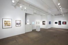 Installation view, &quot;Beautiful Vagabonds: Birds in Contemporary Photography, Sound and Video,&quot; Yancey Richardson Gallery, July 21- August 26, 2011