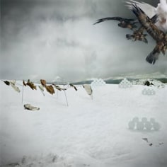 Anthony Goicolea, Snowscape with Owls, 2003, c-print, edition of 30, 30 x 30 inches