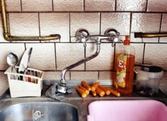 Carrots by the Sink, 2004, 20 x 24 inch chromogenic print, Signed, titled, dated and editioned on the verso, Edition of 15