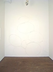 Fruit Basket Upset, 2007, Site-specific wall drawing, Fruit stickers and archival tape, 103 x 110 inches