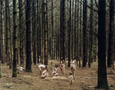Justine Kurland, Pine Forest, 2005, 30 x 40 inch C-print, Signed, titled, dated and editioned on verso, Edition of 8
