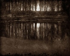 Eduard Steichen Moonlight: The Pond, 1906