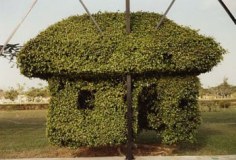 Edwardo del Valle &amp;amp; Mirta Gomez, Topiary, Merida, Yucatan, Mexico, 1998, 20 x 24 inch Chromogenic Print, Signed, dated, titled and editioned on verso, Edition of 20