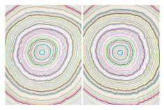 Chiral Circles 1, 2015. Graphite, marker, ballpoint, colored pencil on paper. Each: 50 x 38 inches, overall: 50 x 76 inches