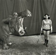 Hippopotamus and Performer, Great Rayman Circus, Madras, India, 1989, 16 x 20 and 20 x 24 inch, Signed on verso