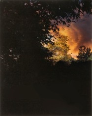 Field at Dusk #3, from the series Wildlife Analysis, 2008,&nbsp;20 x 16 or 24 x 20 inch chromogenic print