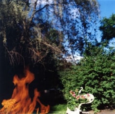 Fire and Flowers, 2004, 20 x 24 inch Chromogenic Print, Signature verso, Edition of 10