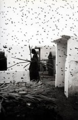 Cementario, Juchitan, Oaxaca, 1988, Gelatin Silver Print, Signed, titled &amp;amp; dated on verso, size variable