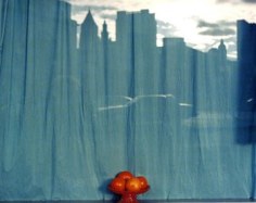 Mitch Epstein, Untitled, Window, NY, 1997, 24 x 30 inch chromogenic print, Edition of 15