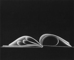 Kenneth Josephson,&nbsp;Chicago (88-4-214),​ 1988. Gelatin silver print, 13 7/8 x 17 3/4&nbsp;inches.&nbsp;
