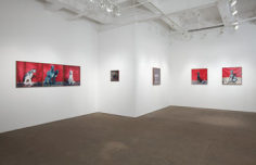 Installation view, &quot;Hellen van Meene,&quot; Yancey Richardson Gallery, September 8- October 22, 2011