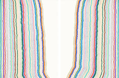 Rachel Perry,&nbsp;Chiral lines 21,&nbsp;2016. Graphite, marker, ballpoint, colored pencil on paper. Each panel: 30 x 22 3/8&nbsp;inches, overall: 30 x 45 inches. Unique.&nbsp;