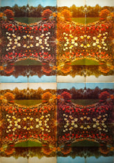 &quot;An Encyclopedia of Gardening, Panels 1 &amp;amp; 2,&quot; from the series &quot;Wildlife Analysis,&quot; 2010- ongoing, found book covers mounted to aluminum, 21 x 29 inches each panel, unique