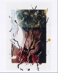 Rebecca Horn  Untitled, 2001  c-print of hand painted photograph  39 3/8 x 27 7/8 inches  Edition of 15  $5,000