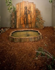 SANCTUARY: The Great Dismal Swamp, 2002, Dimensions variable