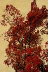 red tree
