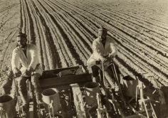 Planting Cotton, 1930s