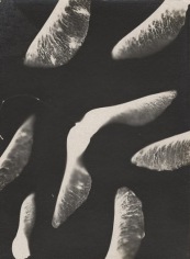 Mikhail Tarkhanov (1888-1962)