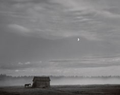 Pentti Sammallahti (b. 1950, Helsinki)