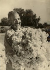 &quot;Portrait of a Farmer Gathering Cotton,&quot; 1938