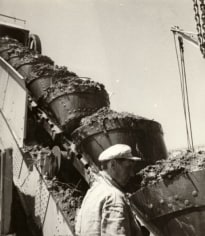 Peat Workings, Kolkhida (Colchis, Eastern Shore of Black Sea), 1939