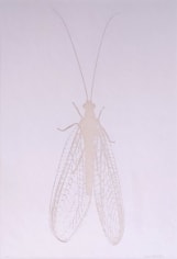 Denis Brihat (b. 1928), Chrysope (Lacewing), 1980