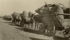 &quot;Cotton Shipment to Storage,&quot; 1933
