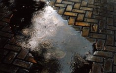 Puddle, 1977, Gelatin silver print with applied oil paint