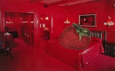 John Ashbery Strawberry Bed