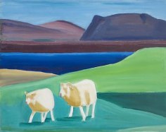 Two Sheep and Water