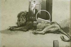 Boy with a Lion