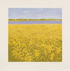 Goldenrod 2012 color lithograph