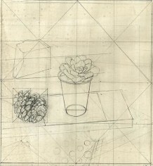 Study for &quot;Succulent in a White Plastic Cup&quot;