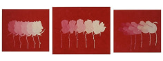 A Rose Is A Rose (Marvin), 2005, pencil, acrylic, marble dust on canvas, 63 x 168 inches