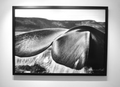 Sebasti&atilde;o Salgado,&nbsp;Southern right whale, Valdes Peninsula, Argentina, Gelatin silver print, 50 x 68 inches/180 x 125 centimeters